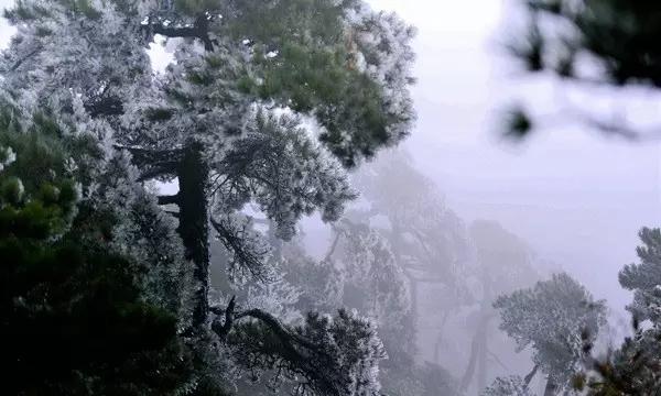 未知道路无敌版