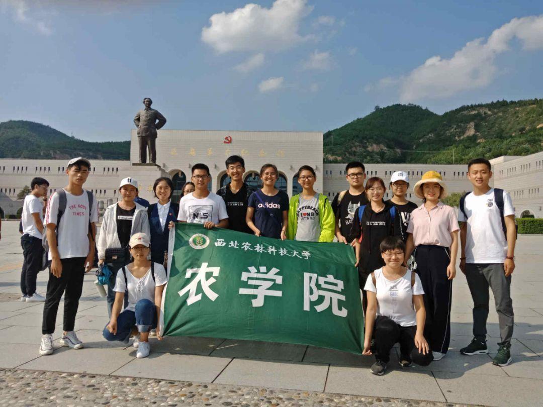 海盗的荣誉